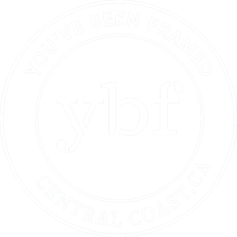 You've Been Framed Logo